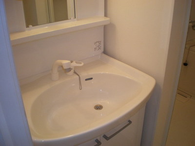 Washroom. Wash basin with shampoo dresser