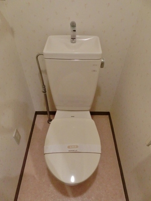 Toilet. It is a toilet with a clean