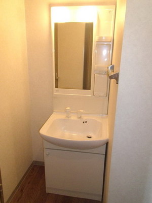 Washroom. Shampoo is a dresser with separate wash basin