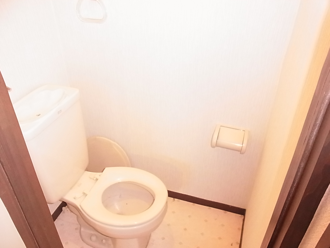 Toilet