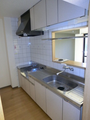 Kitchen. Stove can be installed kitchen