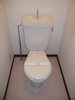 Toilet. Standard toilets