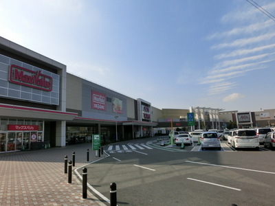 Shopping centre. 890m until ion Town Namami field (shopping center)