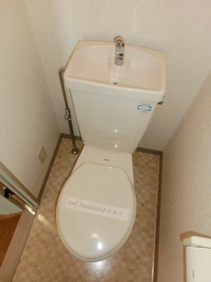 Toilet. Toilet