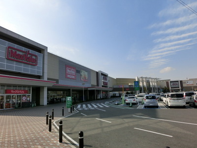 Shopping centre. 920m until ion Town Namami field (shopping center)