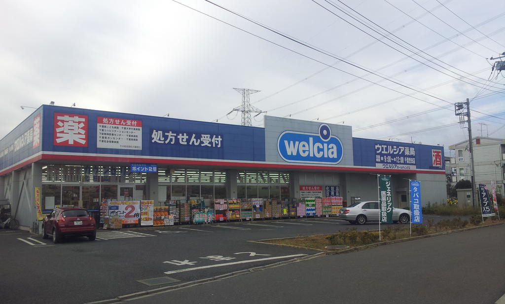 Dorakkusutoa. Uerushia Chiba Honda shop 549m until (drugstore)