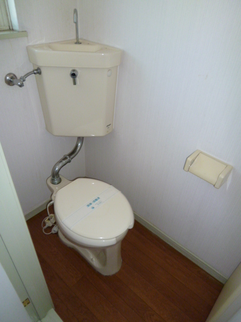 Toilet. Toilet with cleanliness!