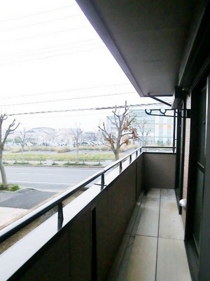 View. Corner room balcony