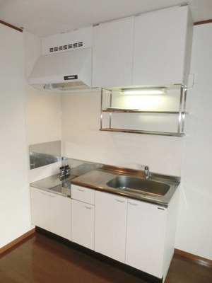 Kitchen. Two-burner gas stove can be installed