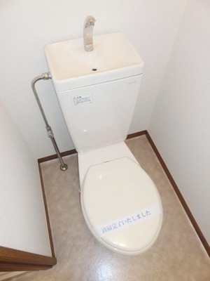 Toilet. Toilet