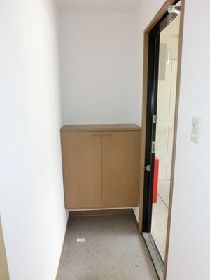 Entrance. There is a shoe box in the foyer.