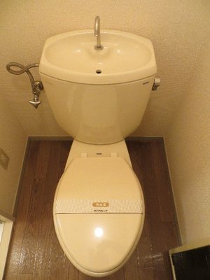 Toilet. Toilet with cleanliness