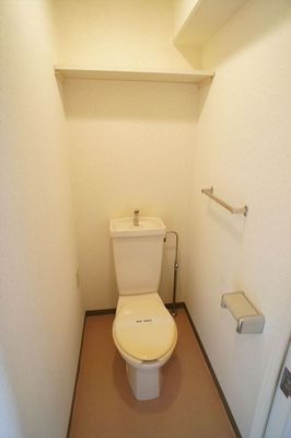 Toilet. Toilet