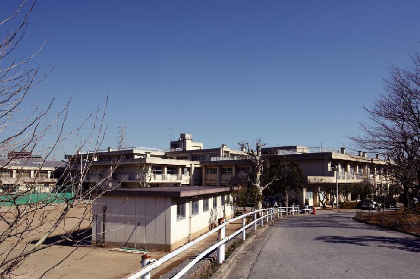 Junior high school. Izumiya 1920m until junior high school