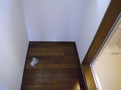 Other. Laundry Area