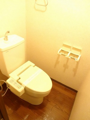 Toilet. Toilet with shower.