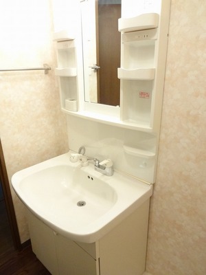 Washroom. Vanity with easy to shampoo dresser by the city get dressed in the morning