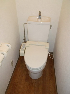 Toilet. It is a toilet seat with a cleaning function