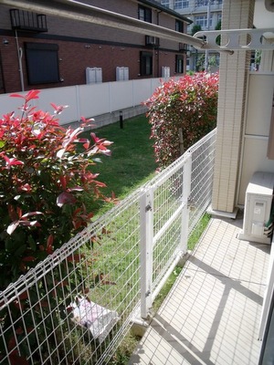 View. Bright balcony