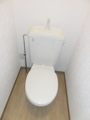 Toilet. Toilet