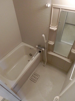 Bath. With mirror bathroom. Care is easy to size.