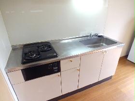 Kitchen. 2 lot gas stoves