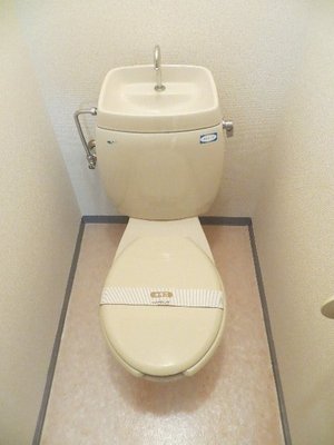 Toilet. Toilet with cleanliness