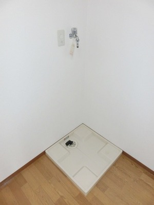 Washroom. Indoor Laundry Storage