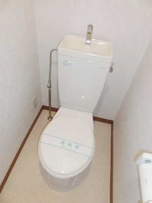 Toilet. Toilet