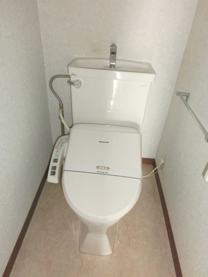 Toilet. Toilet with warm water washing toilet seat