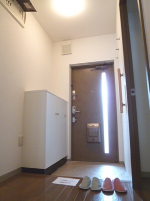 Entrance. Typical indoor photo. There is a convenient storage space in the front door