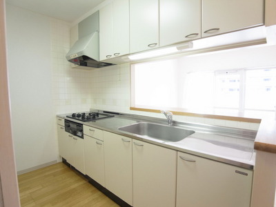 Kitchen. Counter with a kitchen that instinctively want to conversation