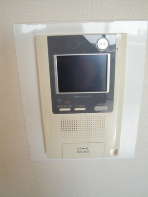 Security. Intercom with a monitor that takes into account the security surface