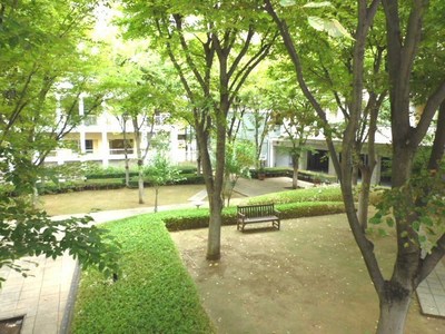 Other. And green, It is the state of the beautiful courtyard that has been in place