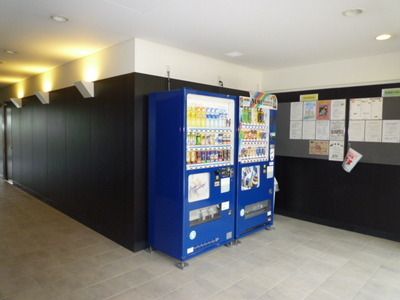 Other. It is convenient because the vending machine has been standing in the apartment