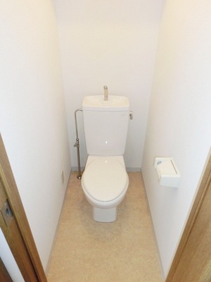 Toilet. Simple toilet
