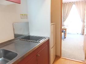 Kitchen. Two-burner electric stove, refrigerator and microwave