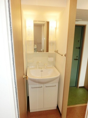 Washroom. It comes with shampoo dresser