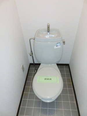 Toilet. It is a toilet with a clean.