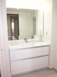 Wash basin, toilet. Abundant storage in the wash basin is three-sided mirror type