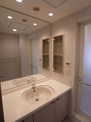 Washroom. Separate vanity daily necessities and accessories can also be accommodated. Also features a large mirror