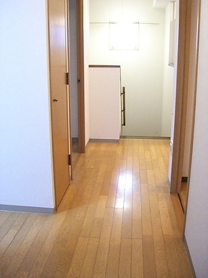 Other. It is easy to indoor cleaning flooring ☆