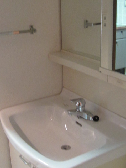 Washroom. Bathroom vanity