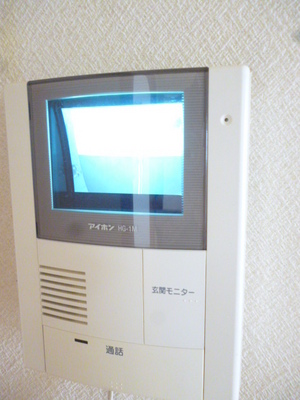 Security. TV monitor with intercom