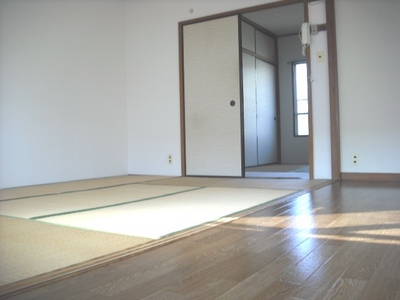 Living and room. Living room facing south is bright per day also ☆ 