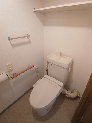 Toilet. Toilet with a clean feeling with a multi-function toilet seat. There is also a handrail