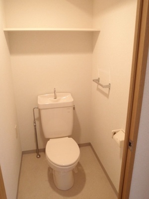 Toilet. Typical indoor photo. Clean, great toilet with a multi-function toilet seat. 