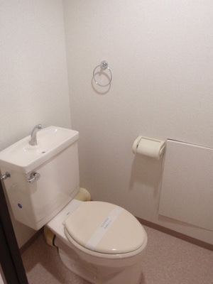Toilet. Is in the toilet there is also a towel equipped, Convenient