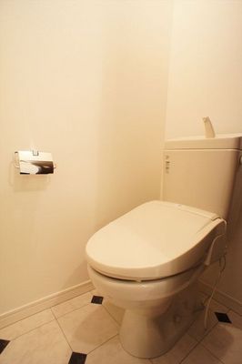 Toilet. Also it comes with a bidet!