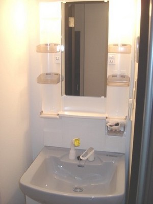 Washroom. Wash basin with a shower of a large mirror